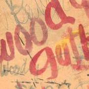 Le texte musical MY REVOLUTIONARY MIND de WOODY GUTHRIE est également présent dans l'album New multitudes (2011)