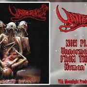 Human's pain Human's pain