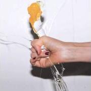 Le texte musical SHAME AND FORTUNE de YEAH YEAH YEAHS est également présent dans l'album It's blitz! (2009)