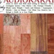 Le texte musical WHO BRINGS A KNIFE TO A GUN FIGHT? de AUDIO KARATE est également présent dans l'album Lady melody (2004)