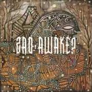 Le texte musical HUMAN CATTLE MASSES MARCHING FORWARD de ZAO est également présent dans l'album Awake? (2009)