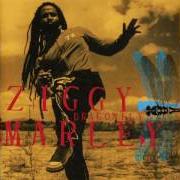 Le texte musical GOOD OLD DAYS de ZIGGY MARLEY est également présent dans l'album Dragonfly (2003)