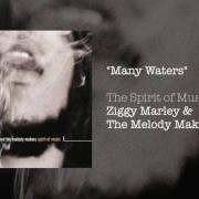 Le texte musical HIGHER VIBRATION de ZIGGY MARLEY est également présent dans l'album Spirit of music (1999)