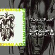 Le texte musical THERE SHE GOES de ZIGGY MARLEY est également présent dans l'album Joy and blues (1993)