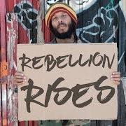 Rebellion rises