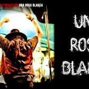 Le texte musical UNA ROSA BLANCA de ZUCCHERO est également présent dans l'album Una rosa blanca (2013)