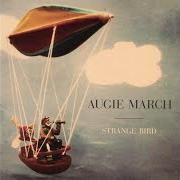 Le texte musical UP THE HILL AND DOWN de AUGIE MARCH est également présent dans l'album Strange bird (2004)