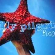 Le texte musical CLOSED DOWN de BILLY PILGRIM est également présent dans l'album Bloom