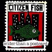 Wider than a postcard Wider than a postcard