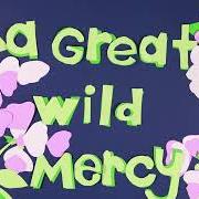 Le texte musical PATH THROUGH THE EVENING WOODS de CARRIE NEWCOMER est également présent dans l'album A great wild mercy (2023)