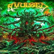 Le texte musical MORGUE DEFILEMENT de AVULSED est également présent dans l'album Dead flesh compilation (1993)