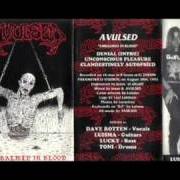 Le texte musical CLANDESTINELY AUTOPSIED de AVULSED est également présent dans l'album Embalmed in blood (1992)
