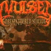 Le texte musical FILTH INJECTED de AVULSED est également présent dans l'album Gorespattered suicide (2005)