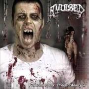 Le texte musical DECREPIT SIGH de AVULSED est également présent dans l'album Yearning for the grotesque (2003)