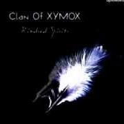 Le texte musical SOMETHING I CAN NEVER HAVE de CLAN OF XYMOX est également présent dans l'album Kindred spirits (2012)