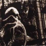 Le texte musical FORMS ON THE OTHER SIDE OF SILENCE de AXIS OF PERDITION est également présent dans l'album The ichneumon method (and less welcome techniques) (2003)