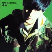 Le texte musical SONG FOR A FRIEND de AZTEC CAMERA est également présent dans l'album Stray (1990)