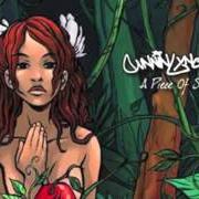 Le texte musical BEAUTIFUL GIRL de CUNNINLYNGUISTS est également présent dans l'album A piece of strange (2006)