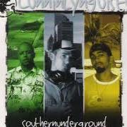 Le texte musical CAN'T HELP MYSELF de CUNNINLYNGUISTS est également présent dans l'album Southernunderground (2003)