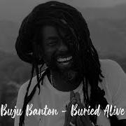 Le texte musical RISING UP de BUJU BANTON est également présent dans l'album Upside down 2020 (2020)