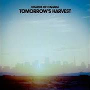 Tomorrow's harvest Tomorrow's harvest