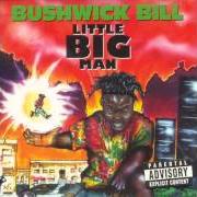 Le texte musical CALL ME CRAZY de BUSHWICK BILL est également présent dans l'album Little big man (1992)