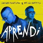 Le texte musical PERDIENDO EL CONTROL de DE LA GHETTO est également présent dans l'album Aprendí (2021)