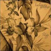 Le texte musical THE GREAT UNKNOWN de BACKSEAT GOODBYE est également présent dans l'album The wonder [ep] (2010)