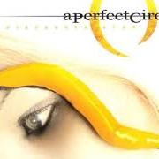 Thirteenth step