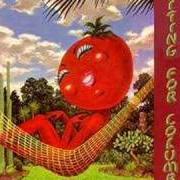 Le texte musical OLD FOLKS BOOGIE de LITTLE FEAT est également présent dans l'album Time loves a hero (1977)