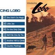 Le texte musical WE'LL MAKE IT... I KNOW WE WILL de LOBO est également présent dans l'album Introducing lobo