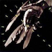 Le texte musical NO DIRECTION de BAD RELIGION est également présent dans l'album Generator (1992)