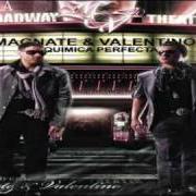 Le texte musical PAL' CARNAVAL de MAGNATE Y VALENTINO est également présent dans l'album Química perfecta (2009)