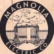 Le texte musical THE NIGHT SHIFT LULLABY de MAGNOLIA ELECTRIC CO. est également présent dans l'album What comes after the blues (2005)