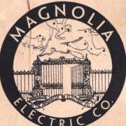 Le texte musical HARD TO LOVE A MAN de MAGNOLIA ELECTRIC CO. est également présent dans l'album What comes after the blues (2005)