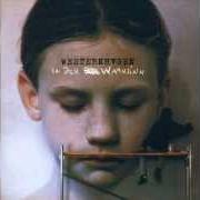 Le texte musical IST ES DAS de MARIUS MÜLLER-WESTERNHAGEN est également présent dans l'album In den wahnsinn (2002)