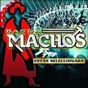 Le texte musical LOS CALZONES DE LA DAMA de BANDA MACHOS est également présent dans l'album Estas seleccionada (2009)