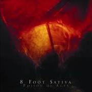 Le texte musical WE, THE TERMITES de 8 FOOT SATIVA est également présent dans l'album Poison of ages (2007)