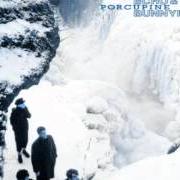 Le texte musical RIPENESS de ECHO AND THE BUNNYMEN est également présent dans l'album Porcupine (1983)