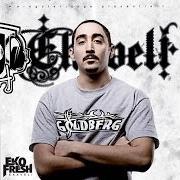 Le texte musical BIS ICH UNTER DER ERDE LIEG (FEAT. OUTLAWZ) de EKO FRESH est également présent dans l'album Ekaveli (2007)