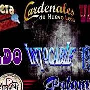 Le texte musical COMO TE EXTRAÑO de EL PODER DEL NORTE est également présent dans l'album Cumbias con poder (2003)