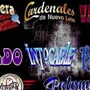 Le texte musical OYE COMO LATE MI CORAZÓN de EL PODER DEL NORTE est également présent dans l'album Cumbias con poder (2003)