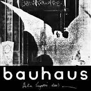 Le texte musical BITE MY HIP de BAUHAUS est également présent dans l'album The bela session (2018)