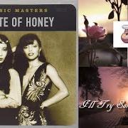 Le texte musical I'LL TRY SOMETHING NEW de A TASTE OF HONEY est également présent dans l'album Ladies of the eighties