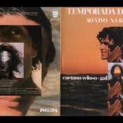 Le texte musical TERREMOTO de GAL COSTA est également présent dans l'album Temporada de verão (1974)