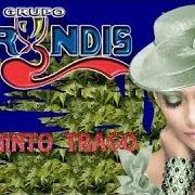 Le texte musical PERDONAME MI AMOR de GRUPO BRYNDIS est également présent dans l'album El quinto trago (2004)