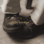 Le texte musical SELWOOD FARMS de BEBO NORMAN est également présent dans l'album Ten thousand days (1999)