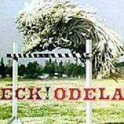 Odelay