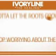 Your chance to dance