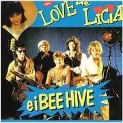 Love me licia e i bee hive